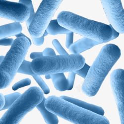 绂忓埄蓝色细菌微生物高清图片