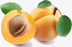 新鲜水果杏子素材