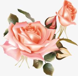 水彩画玫瑰花卉高清图片