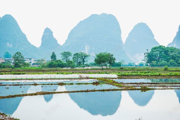 水田农田png免抠素材_88icon https://88icon.com 农田 山 春耕节 桂林 水田 绿色 育苗 风景