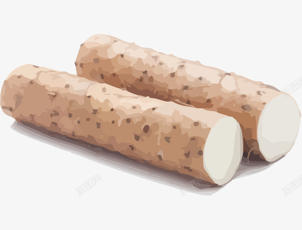 手绘风格食材山药两段png免抠素材_88icon https://88icon.com 养生 山药 山药手绘 浅褐色 滋补 药材 蔬菜 食材 食物