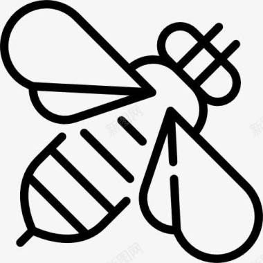 站立的蜜蜂蜜蜂图标图标