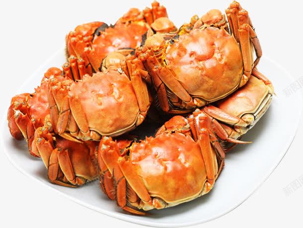 螃蟹png免抠素材_88icon https://88icon.com 大闸蟹 美食 菜 螃蟹 食品 食材 食物