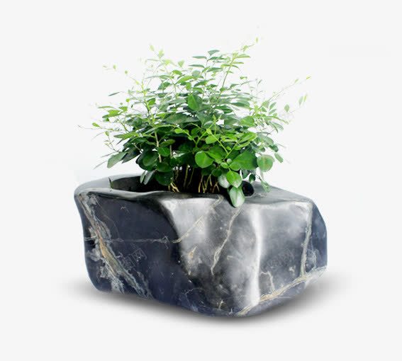 植物石头盆栽png免抠素材_88icon https://88icon.com 堆石块 工艺石头 白色 石头 绿色 绿色植物 雕刻石头 青色