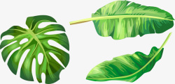 卡通热带手绘绿色树叶矢量图高清图片