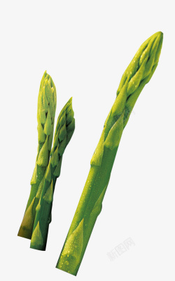 莴笋矢量绿色芦笋莴笋蔬菜装饰图案高清图片