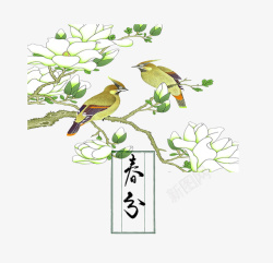 二十四节气之春分花枝与鸟主题素材