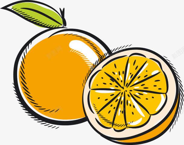 卡通简单风格橙子png免抠素材_88icon https://88icon.com 卡通 柚 柚子 柚子卡通 橙子 水果 蔬果 香甜