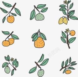 多种水果混合背景手绘小清新多种柑橘类水果高清图片
