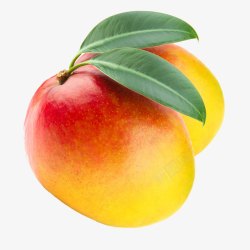 苹果芒两只芒果水果叶子高清图片