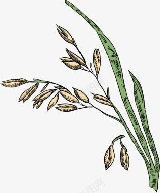 图卡通手绘绿色植物麦穗图矢量图图标图标