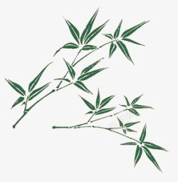 植物点缀竹叶装饰高清图片