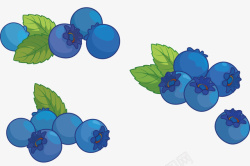卡通手绘蓝莓装饰图案矢量图素材