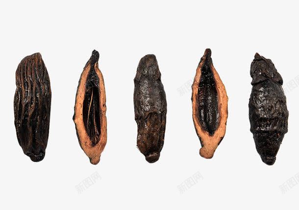 槟榔特写png免抠素材_88icon https://88icon.com 产品实物 槟榔 槟榔干 槟榔干果 湖南美食 湘潭槟榔