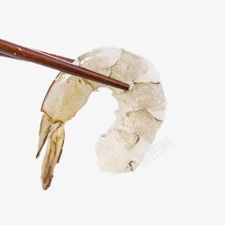筷子原料产品实物冰虾虾仁展示高清图片