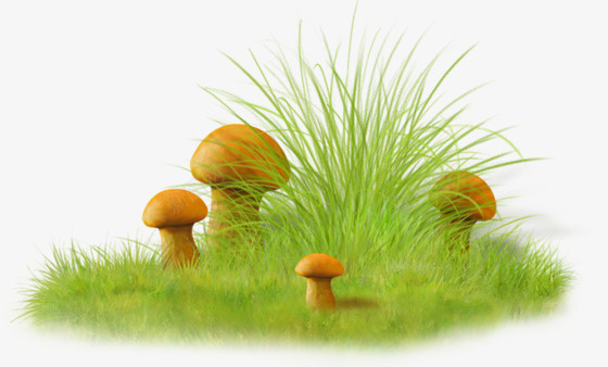 草丛中的蘑菇png免抠素材_88icon https://88icon.com 春天 春季 绿色 草丛 蘑菇