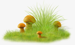 草丛中的蘑菇素材