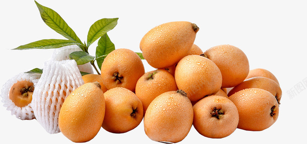 小清新风格夏季水果枇杷psd免抠素材_88icon https://88icon.com 夏季 小清新 小清新风格夏季水果枇杷 新鲜 枇杷 枇杷树 水果 风格 黄色