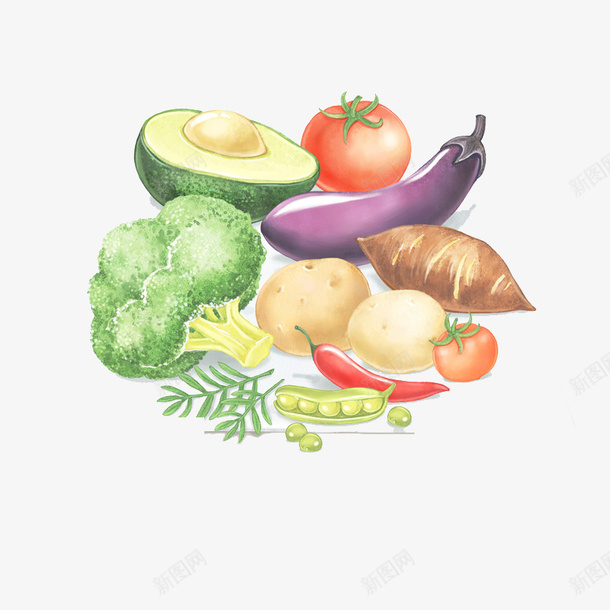 彩绘食物蔬菜瓜果png免抠素材_88icon https://88icon.com 健康蔬菜 各种蔬菜 实物 平面 手绘 水果蔬菜 菜类图片 蔬菜瓜果 食物