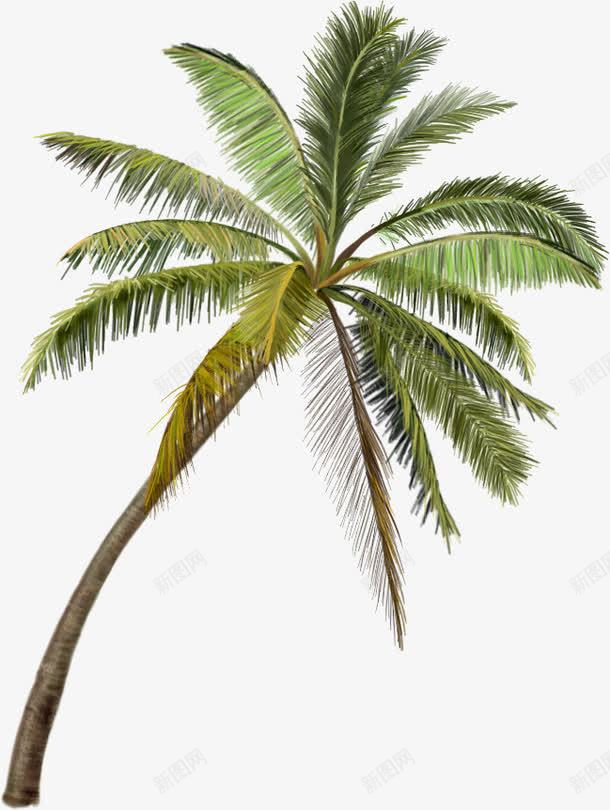 三亚风景区的椰子树png免抠素材_88icon https://88icon.com 三亚 椰子树 风景区