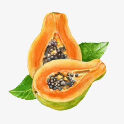 木瓜png素材黄色营养叶子上的熟木瓜卡通手绘高清图片