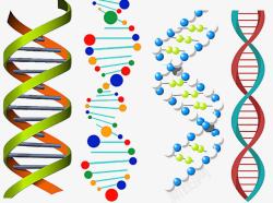 彩色DNA双螺旋图形素材