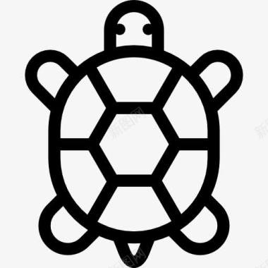 乌龟生日卡乌龟图标图标