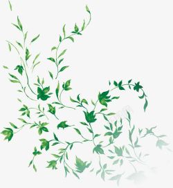 春天绿色手绘藤蔓植物装饰素材