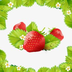 多汁草莓水果叶子素材