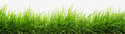 乡间小草绿色草皮元素高清图片