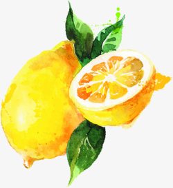 黄色橙子水彩水果素材