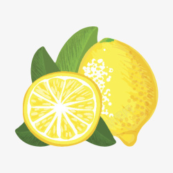 橙黄色美味的水果带叶子的柠檬片素材