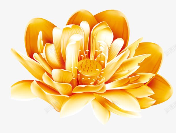 黄金莲花花卉背景手绘png免抠素材_88icon https://88icon.com 背景 花卉 莲花 黄金