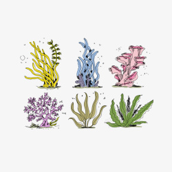 彩色珊瑚精致手绘风格珊瑚藻高清图片