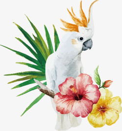 鲜花礼花背景图片手绘鹦鹉与花朵矢量图高清图片