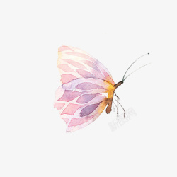欧美杂志风卡通手绘文艺简约蝴蝶动物插画设高清图片