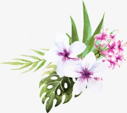 白色扶桑花和蝴蝶兰矢量图素材