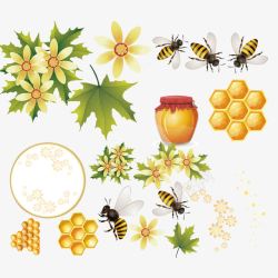 蜂蜜蜂巢蜜蜂素材