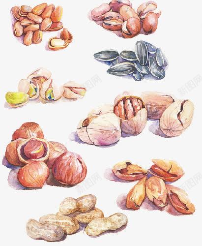 坚果png免抠素材_88icon https://88icon.com 干果 手绘 核桃 集合 零食