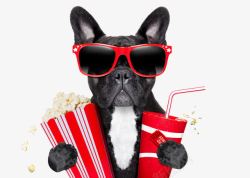 爆米花可乐创意看电影的狗狗高清图片
