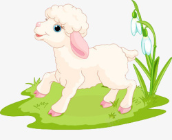 草地上的小羊羔素材