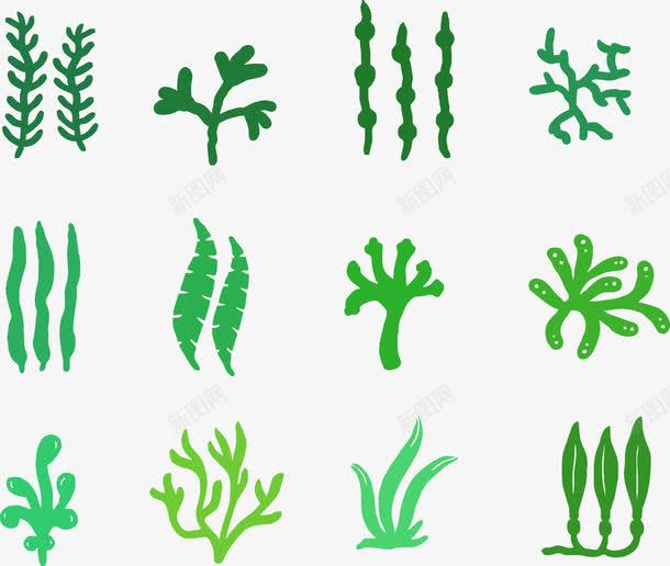绿色海草png免抠素材_88icon https://88icon.com 健康 有机 海底生物 海草 海葵图片 海藻 生态 生态环境