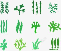 海底生态绿色海草高清图片