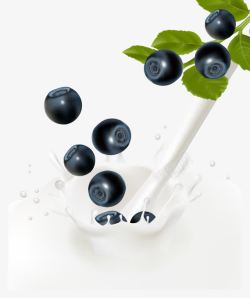 蓝莓牛奶饮料饮品水果素材