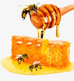 蜜蜡背景蜜蜂搅蜜棒高清图片