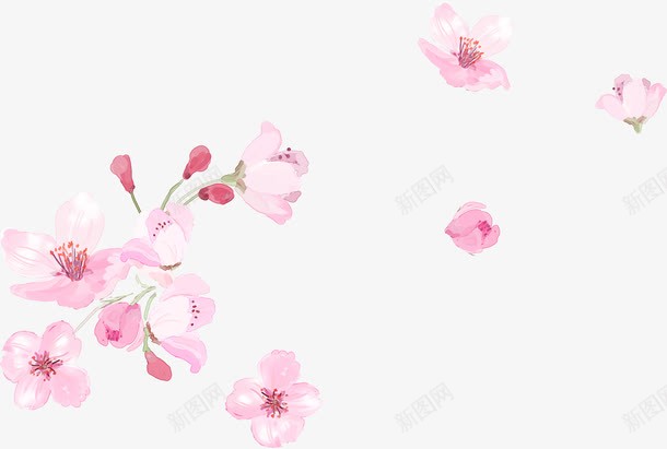 粉色水彩花朵教师节png免抠素材_88icon https://88icon.com 教师节 水彩 粉色 花朵