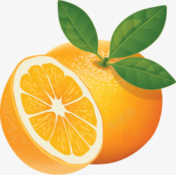 新鲜血橙图片手绘橙子高清图片