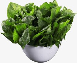 绿色健康食品新鲜的绿色蔬菜菠菜高清图片