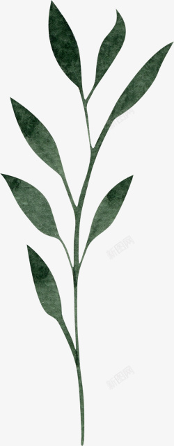 枝条植物叶子装饰案高清图片