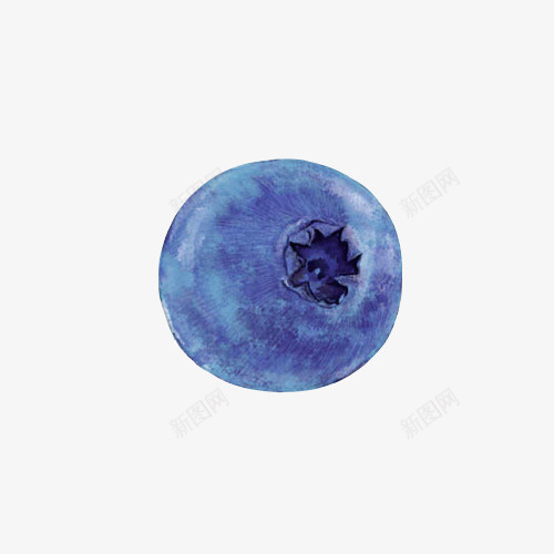 蓝莓手绘画片psd免抠素材_88icon https://88icon.com 水果 色彩画 蓝紫色 蓝莓